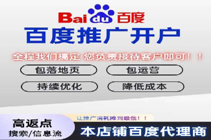 案例解读：SEO与SEM优化助力电商崛起